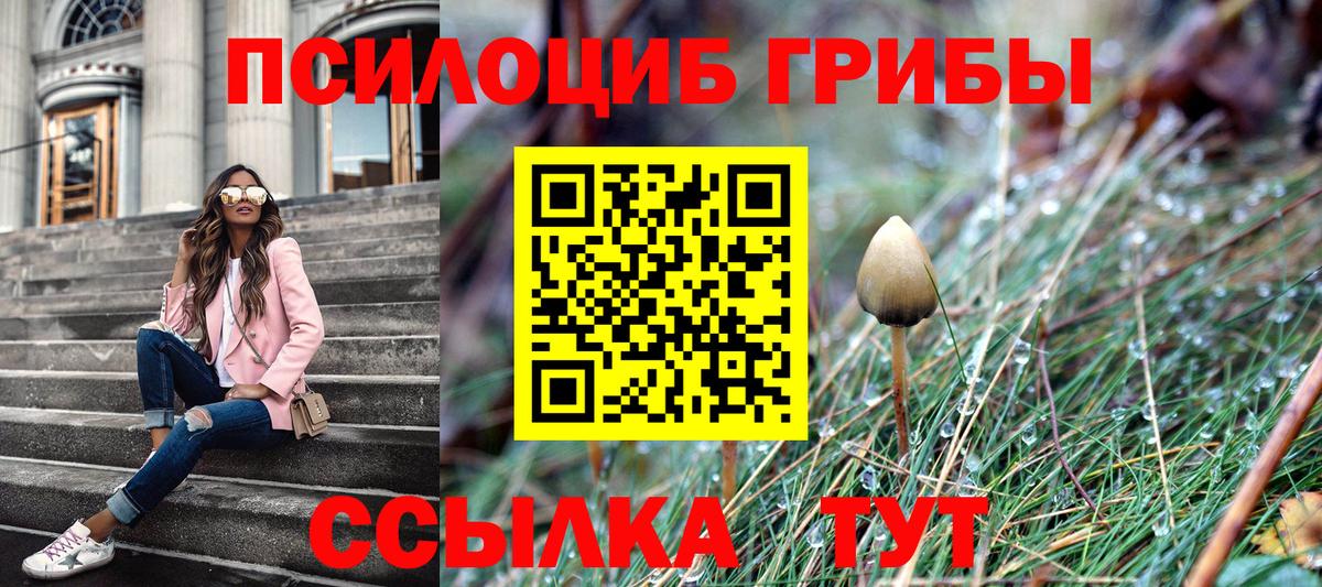 Псилоцибиновые грибы MAGIC MUSHROOMS Надым